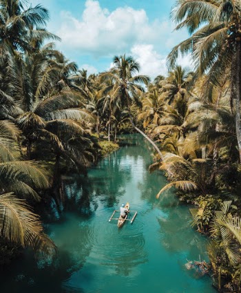 Unsplash ID miKmVyq3qhE