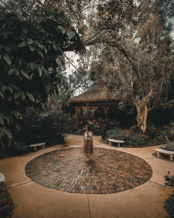 Unsplash ID MJyKrWD8RsQ