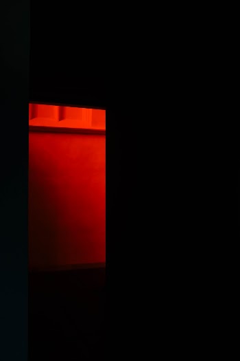 Unsplash ID mkpnct1piyc