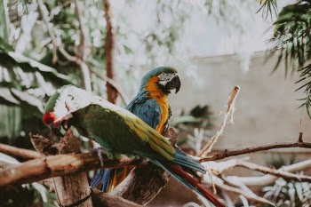 Unsplash ID mLy03-Xp178