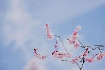Unsplash ID mME3lPSuZZ0