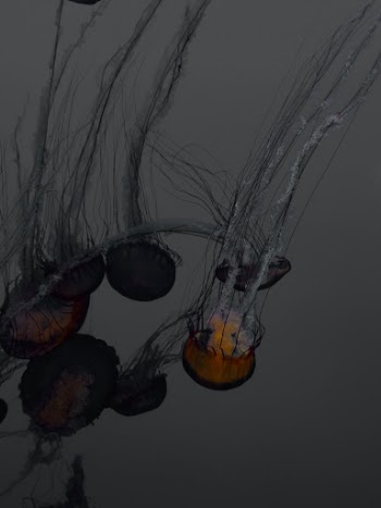 Unsplash ID mN5kjo8p-To