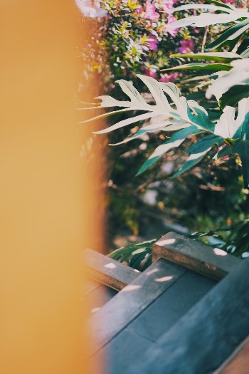 Unsplash ID mO8PXc2PItc