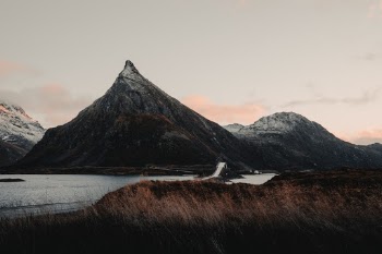 Unsplash ID MoJC16pta9c