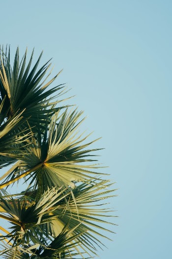 Unsplash ID mOLet_-xn2M