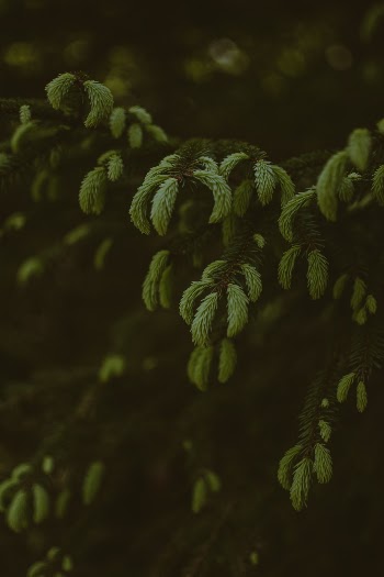 Unsplash ID MPKfpzRZ4Kg