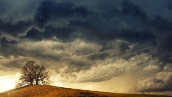 Unsplash ID MS2dni_S3Ew