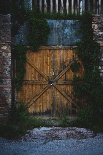 Unsplash ID MSb_r0p44To