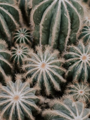 Unsplash ID MSW-u52e_sw