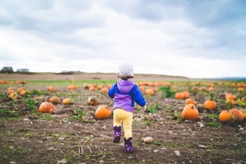 Unsplash ID mt9KmK918D4