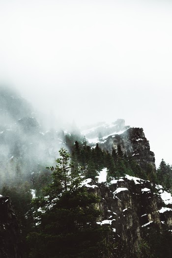 Unsplash ID mTl7ZQLPcAk