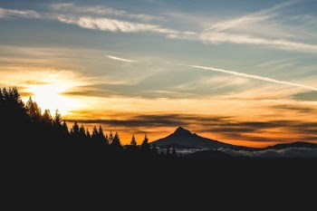 Unsplash ID _Mu-vL07AAk
