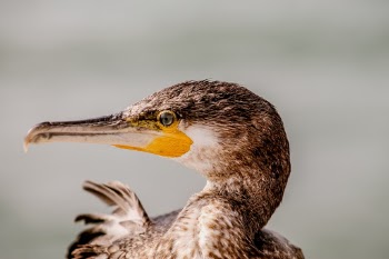 Unsplash ID mUkjXMZnIMw