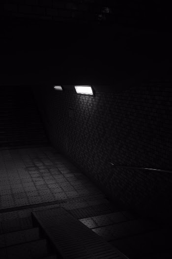 Unsplash ID MuuPGa7lg8g
