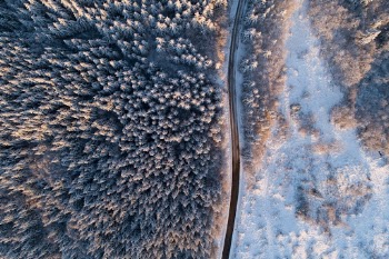 Unsplash ID MUyzut8OfXY