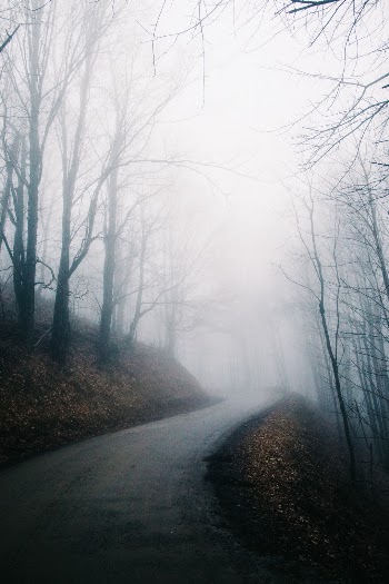 Unsplash ID MvC3_ENF4Dc