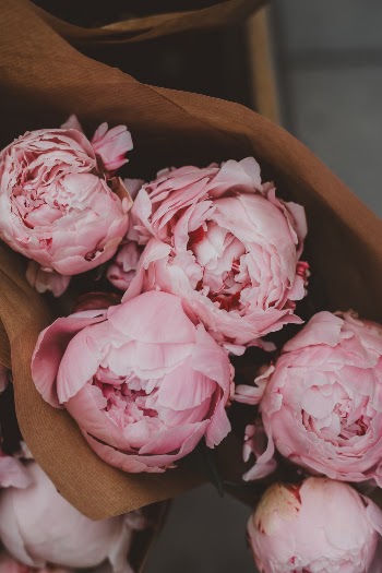 Unsplash ID MVKYxT3VB3A