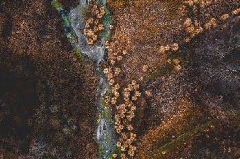 Unsplash ID MXJ5AQ3d2Pc