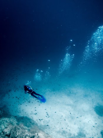 Unsplash ID mXU0lVbz6gA
