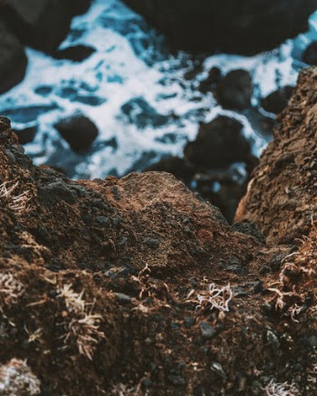 Unsplash ID N_dZnM0Gs8Q