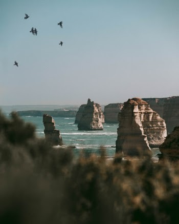 Unsplash ID N_V-R4E64nE