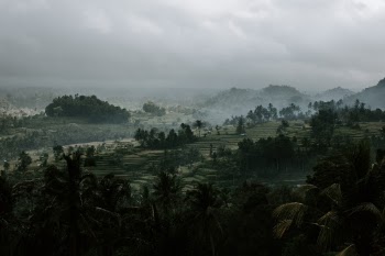 Unsplash ID N1WCE8mgnYQ