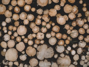 Unsplash ID n2sQQ6XjqfE