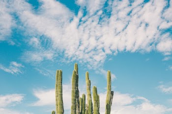 Unsplash ID N32V8aUzUDE