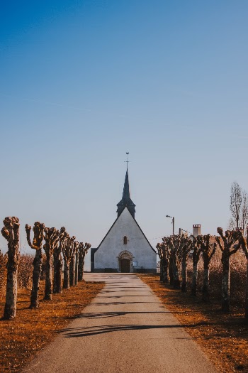 Unsplash ID N3rbDUUunX4