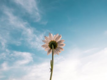 Unsplash ID N93A7yYf7MU