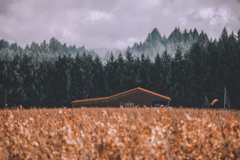 Unsplash ID -n9XrVssHdY