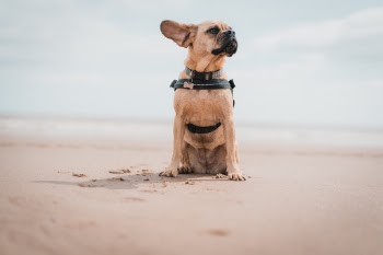 Unsplash ID nAnv-ayK1wE