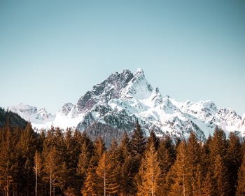 Unsplash ID NbGiwlx8pgE
