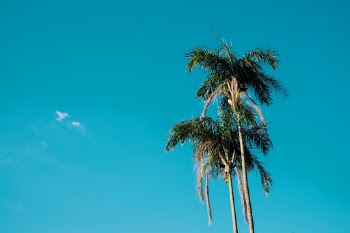 Unsplash ID NEfIkFHxfwU