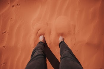 Unsplash ID nEhDf0jQOiA