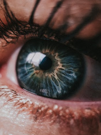 Unsplash ID nEhW-UvBgTI