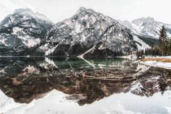 Unsplash ID nEJ50HJpQRM