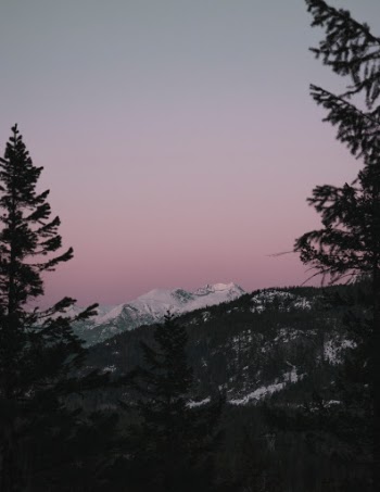Unsplash ID NexMGYm6IDg
