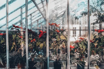 Unsplash ID nFqVH1VsJ0Q