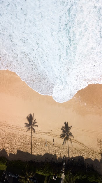 Unsplash ID NGeex4aM7zQ