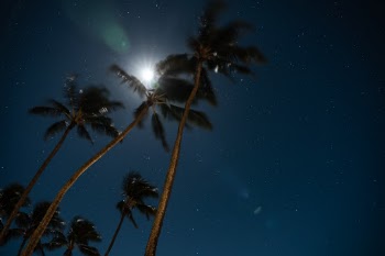 Unsplash ID ngvZOo_kT1I
