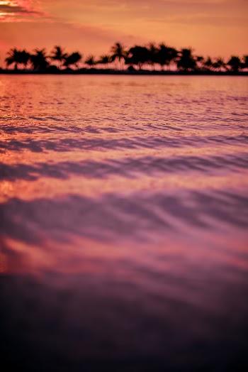 Unsplash ID ngZoTDSvKpk