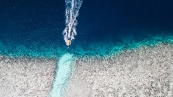 Unsplash ID nh-SCu_iVuQ