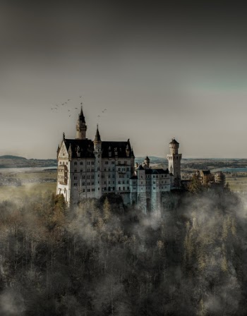 Unsplash ID NIlLZWI5lEw