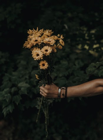 Unsplash ID NIZ-8TFWLFY