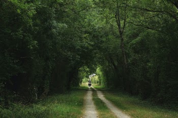 Unsplash ID NKp1ggcYCUE