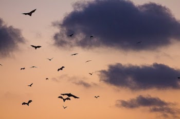 Unsplash ID NljTy5Y15JM