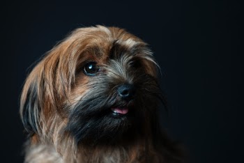 Unsplash ID nmg5w3EyAFM