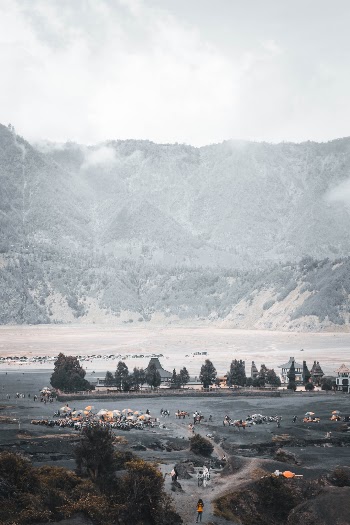 Unsplash ID NNkQgeyI8t0
