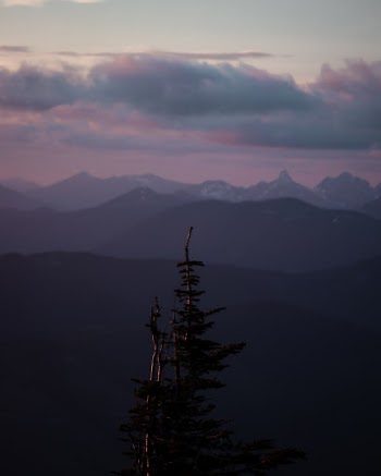 Unsplash ID NoBMLrm_4B8